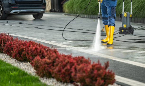 Best Roof Cleaning and Mildew Removal in Rhome, TX